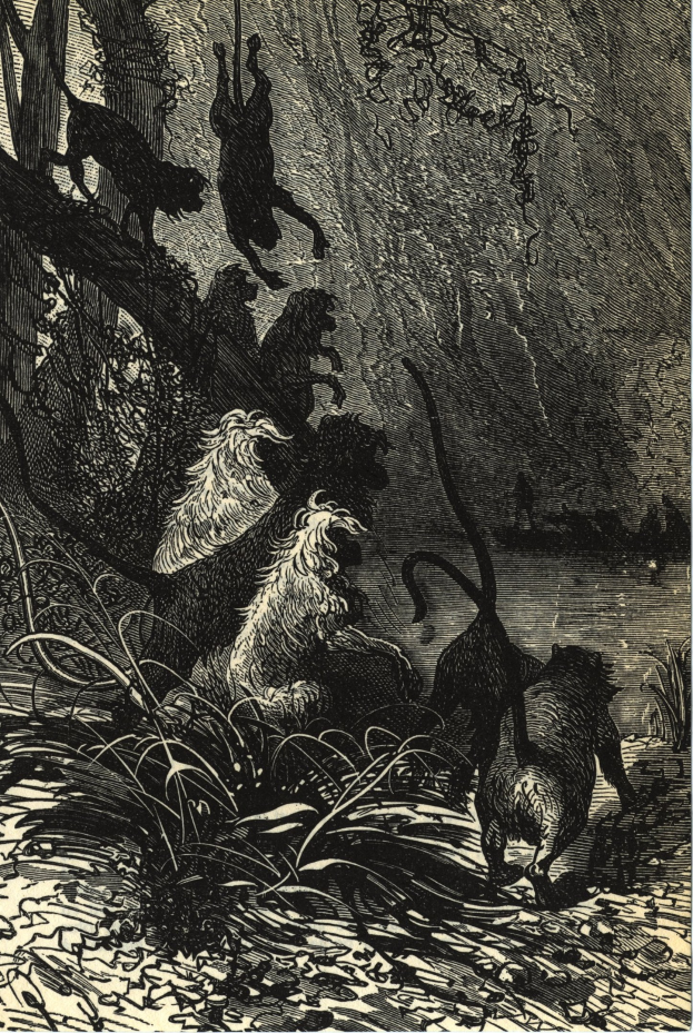 Schwarze und weiße Illustration einer Gruppe von Löwen in einer Dschungellandschaft mit üppigen Pflanzen und Bäumen, mit 'Der Löwenkönig'-Text unten.