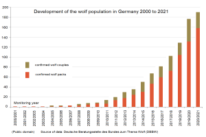 Eine Liniengrafik zeigt den Wolfsbestand in Deutschland von 2000 bis 2021, mit begleitendem Text, der zusätzliche Kontextinformationen liefert.