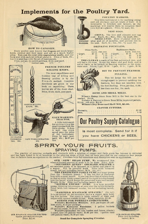 Alte Werbung für einen Hühnerhof mit Text und bunten Bildern von Hühnerprodukten, einschließlich Details zu Zutaten, Preisen und Anwendungsanweisungen.