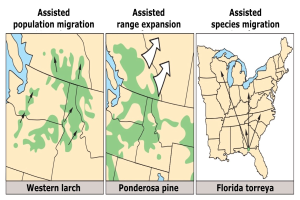 Eine Karte der Vereinigten Staaten, die verschiedene Arten der unterstützten Bevölkerungsmigration hervorhebt und von begleitendem Text begleitet wird.
