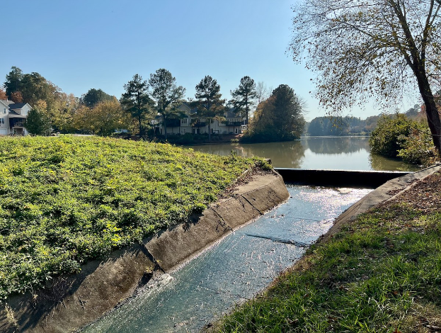 Kleiner Bach, der durch ein grünes Feld neben einem Gewässer fließt, mit Bäumen und Pflanzen auf beiden Seiten und Gebäuden im Hintergrund unter einem klaren blauen Himmel.