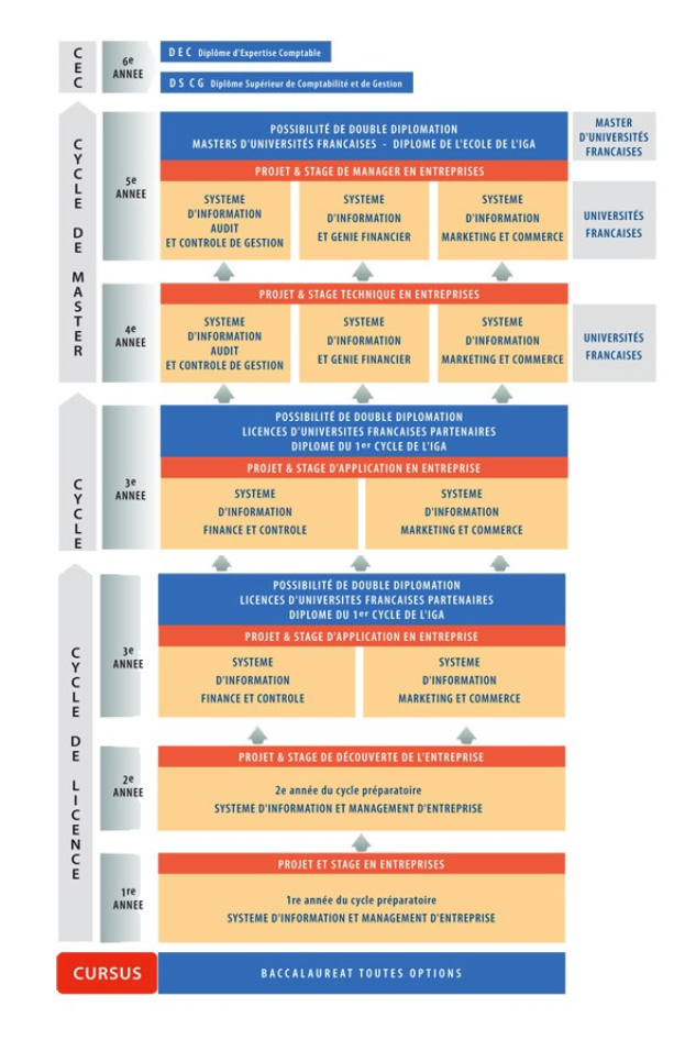 Diagramm, das die organisatorische Struktur eines Unternehmens mit miteinander verbundenen Kästchen darstellt, die die Stufen des Geschäfts growths und der Entwicklung darstellen, begleitet von beschreibendem Text.