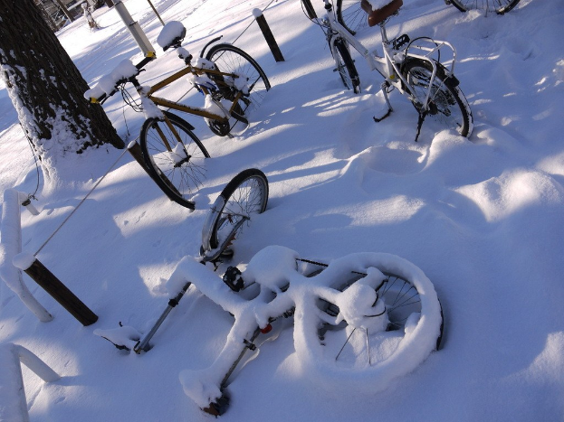 Eine Reihe von Fahrrädern, teilweise mit Schnee bedeckt, die neben einem Baumstamm an einer verschneiten Straße geparkt sind.