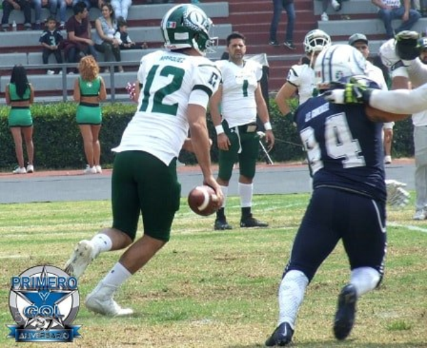 Ein Football-Spieler in Uniform rennt mit dem Ball, umgeben von Gegenspielern und Zuschauern auf einem Feld, mit Zuschauern auf den Stadiontreppen im Hintergrund.