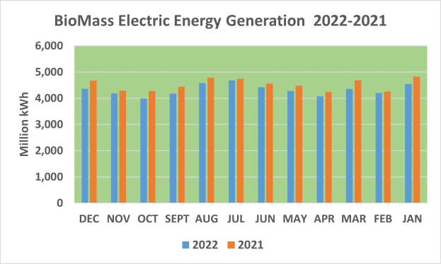 Diagramm, das die Stromerzeugung aus Biomasse von 2021 bis 2022 zeigt, mit begleitendem erklärendem Text.