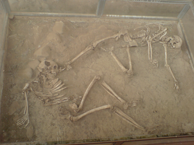 Zwei Skelette werden in einem durchsichtigen Glaskasten in einem Museum ausgestellt, liegen auf dem Boden mit sichtbaren Knochen Details.
