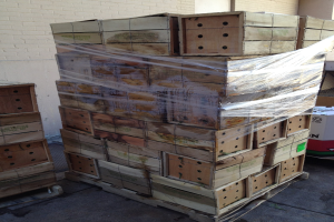 HPE präsentiert Implementierungshilfe für PPWR für Holzverpackungsunternehmen