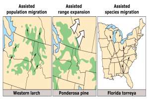 Eine Karte der Vereinigten Staaten, die verschiedene Arten der Bevölkerungswanderung hervorhebt und von begleitendem Text umgeben ist.