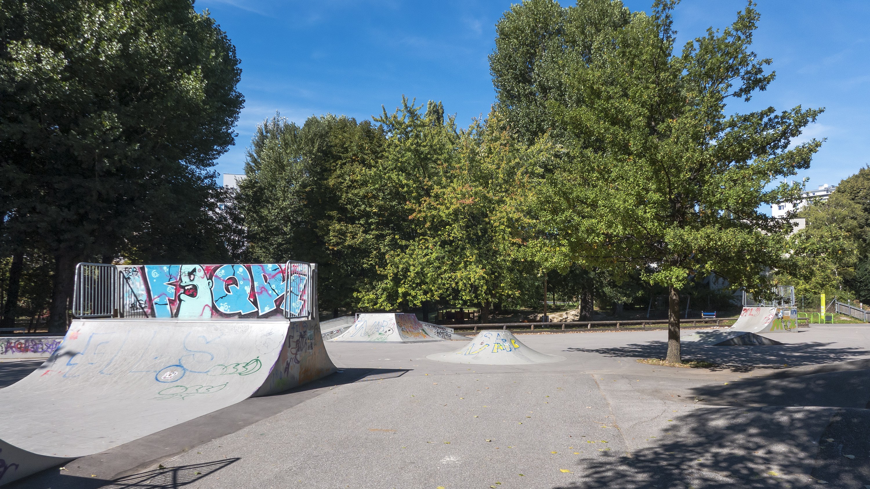 Eine Skate-Anlage mit Rampen voller Graffiti, umgeben von Bäumen und Gebäuden unter einem bewölkten Himmel.