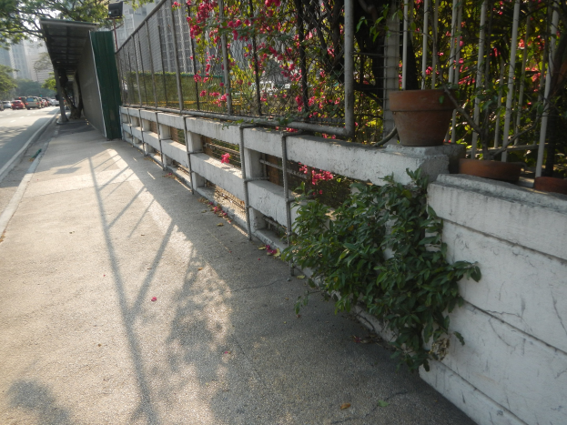 Gehweg mit einem Zaun und Topfpflanzen neben einer Straße, auf der Fahrzeuge fahren, mit Bäumen, Gebäuden und einem klaren blauen Himmel im Hintergrund.